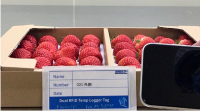  Strawberry factory has adopted RFID sensor tag temperature control system
